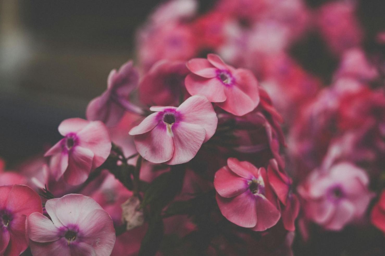 Elegant wedding floral arrangements showcasing graduate expertise